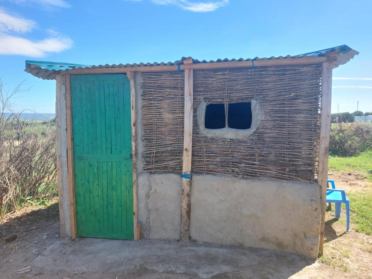 Maasai Homestay Camping Sekenani Zewnętrze zdjęcie